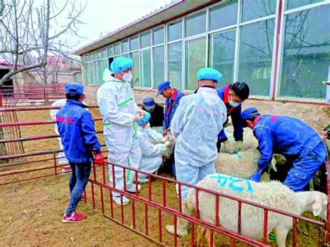 潢川县哪里有兽医,快被潢川人遗忘的彭家店