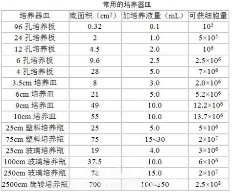 为什么不使用生物细胞制作芯片,造一颗芯片有多难