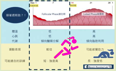 妇产科实习小结15篇 妇科实习小结