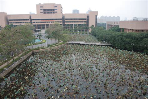 五邑大学的饭堂在哪里,广东20 所大学食堂真面目出炉