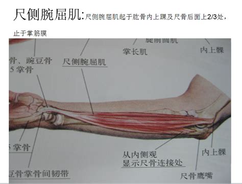 教师如何参与教科研.doc,什么是参与教科研