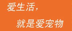 金毛8个月一天吃多少,养一只80斤的大金毛