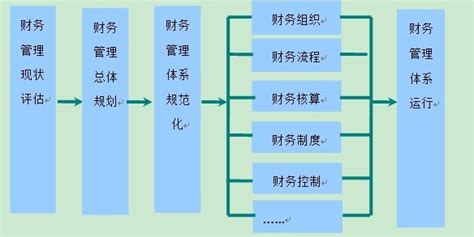 村级财务管理情况怎么写,财务管理水平怎么写