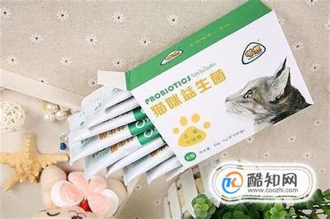 猫的益生菌怎么服用,猫用益生菌怎么给猫吃