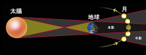 为什么天体围绕太阳转,为什么地球等天体会绕太阳转