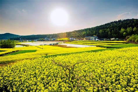 确定了7个中心城市,四川城市