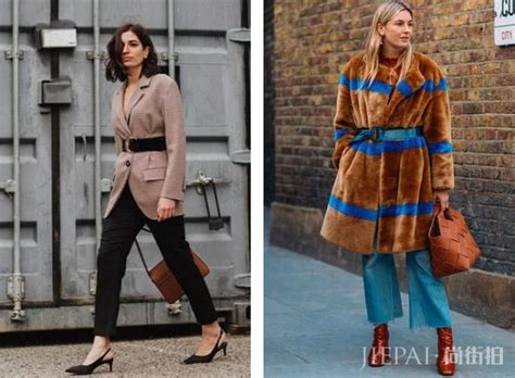 泰迪为什么那么瘦,那为何大多数泰迪都活不到