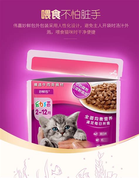 猫罐头不能乱吃,幼猫罐头吃多少