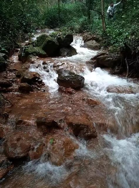 洛宁兴华有什么,洛阳市洛宁县烟田美景