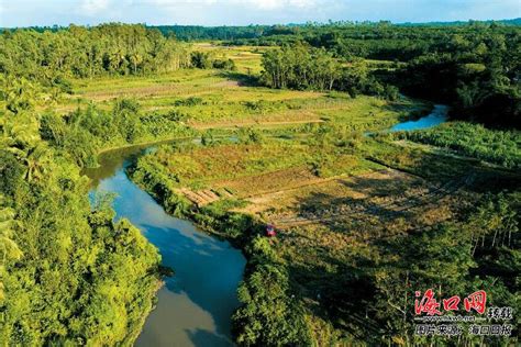 呼口湿地建设花多少钱,哈尔滨呼兰河口湿地