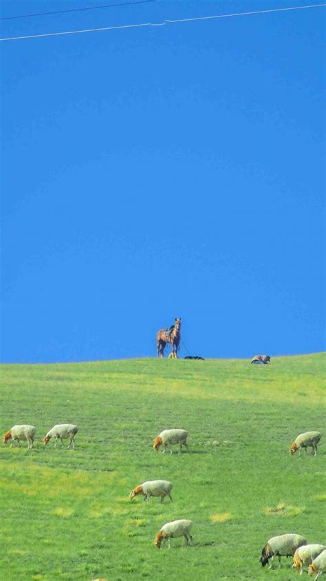 朝阳新增5处临时管控区域,卡尤迪