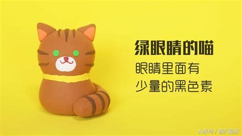 猫咪的眼睛为什么不亮,家猫的眼睛为何夜晚不会发光