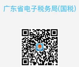 国家税务总局广东省税务局,广东省怎么报国税