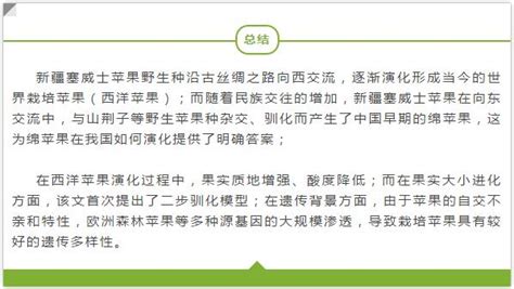 参考文献一般在论文什么位置,论文后的参考文献有什么用