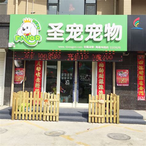 开宠物店投资多少钱,想开家宠物店需要投资多少钱