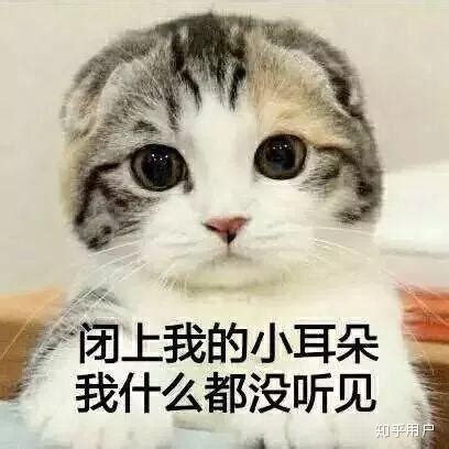 猫忽然乱拉屎怎么办,猫为什么忽然乱拉屎