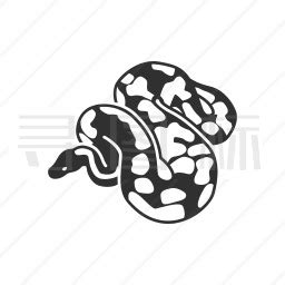 Python打包,python打包