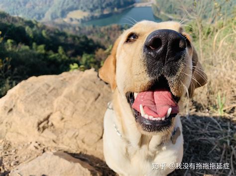 什么软件上面买东西最便宜 在什么上面买东西最便宜