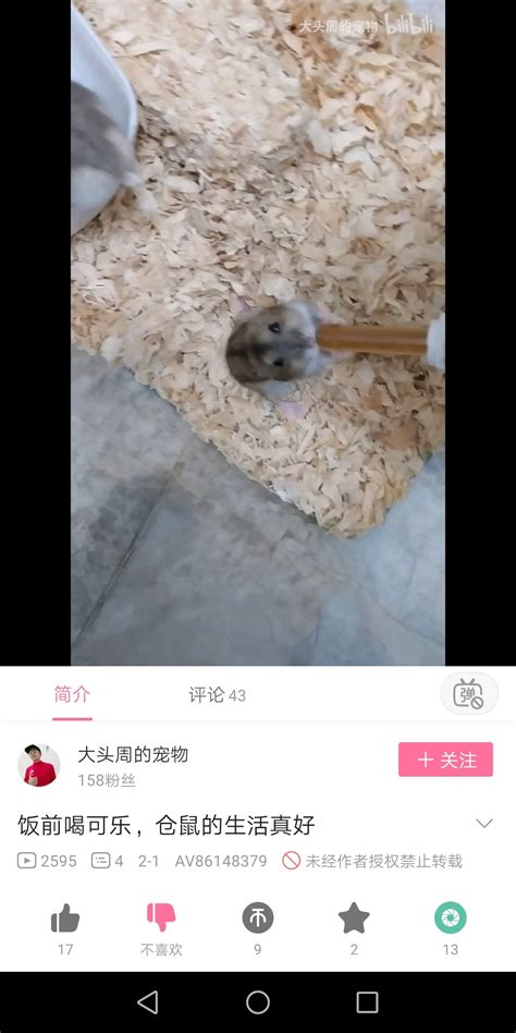 能录音多长时间,手机录像能录多长时间