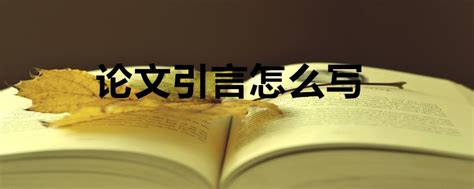 论文引言怎么写格式,关于论文引言怎么写