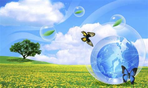 高考志愿填报都有什么专业,在高考志愿填报中