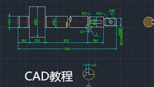 上海财经大学的专业是什么,想上上海财经大学