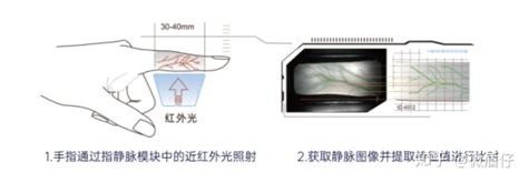 生物识别静脉识别,人脸识别是生物识别吗