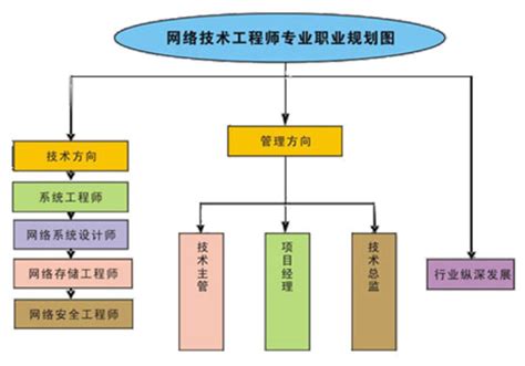 网络工程报什么专业,学计算机软件报什么专业