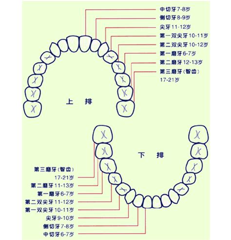 一张图找手机在哪里,手机QQ微信