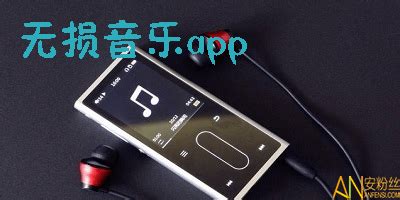 无损音乐下载软件哪个好,什么网站可以下载无损音乐