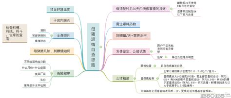 什么种猪产子高,这头14岁种猪很厉害