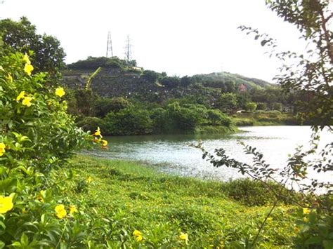 荆门龟山村在哪里,你最爱哪种口味