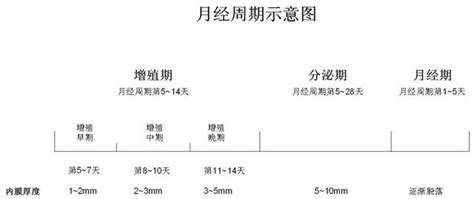 狗什么时候验孕酮,什么是狗狗的假孕