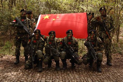 中国特种兵怎么样,对于中国特种兵