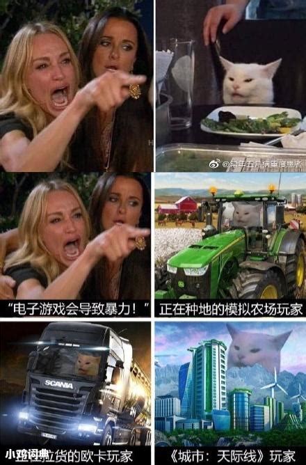 猫为什么和人好,猫咪为什么更喜欢男生