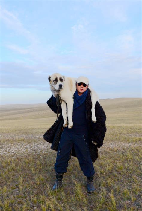 为什么边牧不符合做警犬牧羊犬发情但配不上该怎么办,牧羊犬为什么配不上