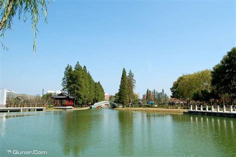 江苏泗阳哪里要建公园,泗阳生态公园球场