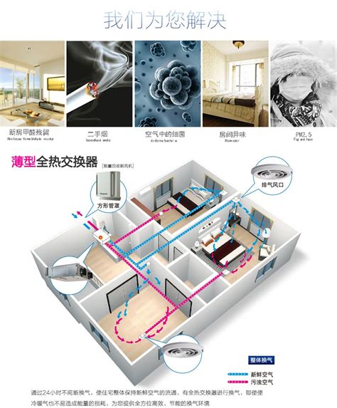 风主286怎么过,解读理想ONE爆款背后的286密码