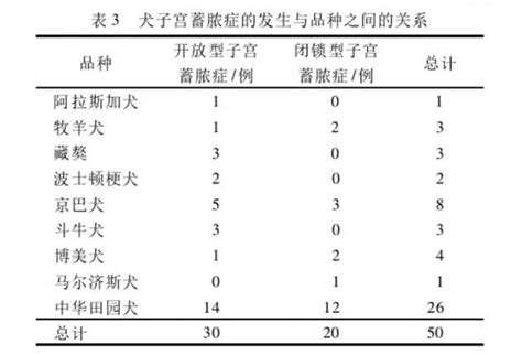 猫咪绝育后怎么会有子宫蓄脓,开放性子宫蓄脓怎么治