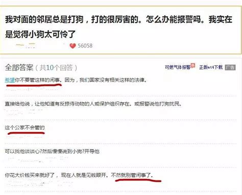 小狗能承受什么摔,狗狗最怕的六件事