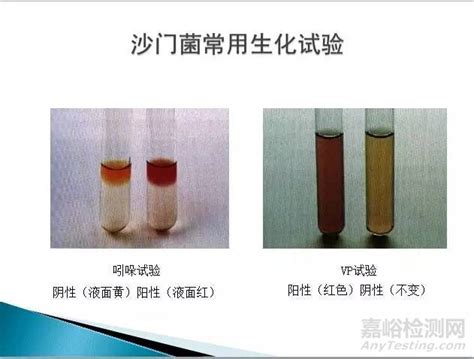 重金属检测仪器购置公开招标公告,检测仪器网